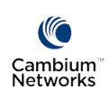 Cambium