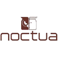 Noctua