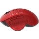 Astrum MW280 Wireless Optical Mouse